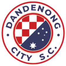 Logo Dandenong City U23