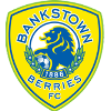 Logo Canterbury Bankstown FC