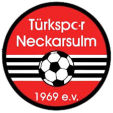Logo Neckarsulm