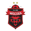 Logo Wollongong Wolves U20