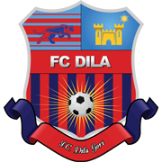 Logo Dila Gori