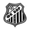 Logo Bor 1919