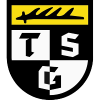 Logo TSG Balingen