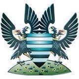 Logo Salisbury City