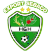 Logo HYH Export Sebaco FC