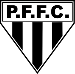 Logo Porto Ferreira SP Youth