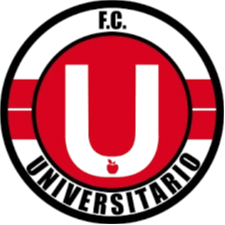 Logo Universitario De Vinto (W)